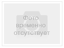 Одежда